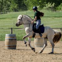 working-equitation-akadaly 2hordo 01
