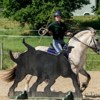 working-equitation-akadaly gyurufelvetele 05