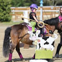 working-equitation-akadaly gyurufelvetele 11