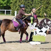 working-equitation-akadaly gyurufelvetele 12