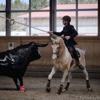 working-equitation-akadaly gyurufelvetele 15