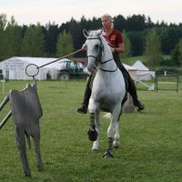 working-equitation-akadaly gyurufelvetele 17