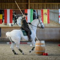working-equitation-akadaly rudkezhezvetele 05