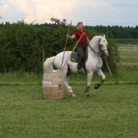working-equitation-akadaly rudkezhezvetele 09